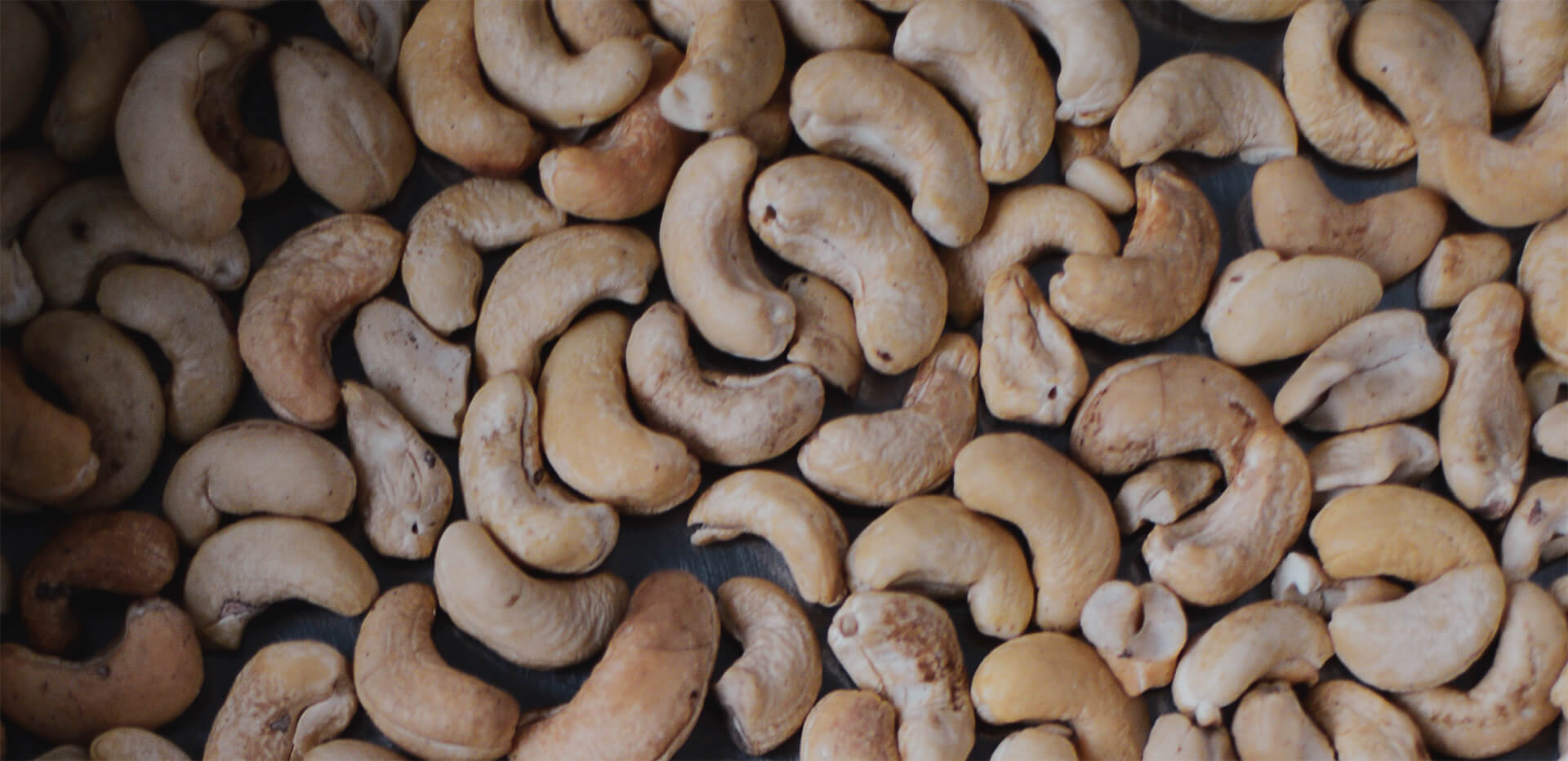 Wie die Cashew von Senegal
nach Indien kommt
