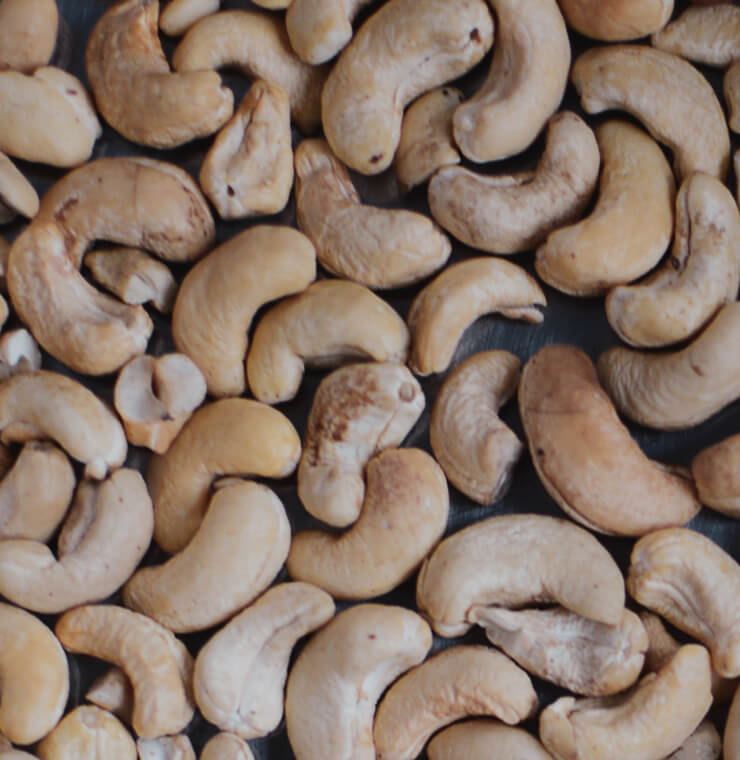 How the cashew of Sénégal comes to India